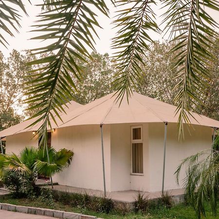 Clarks Safari Ranthambore Khilchipur  Экстерьер фото